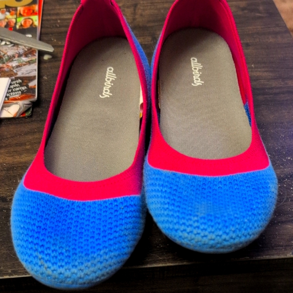 Allbirds Women's Pink and Blue Flats